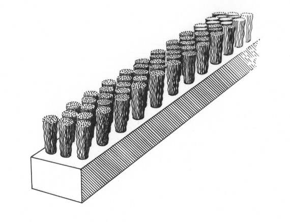 Tufted Strip (Stave) Brush Specifications